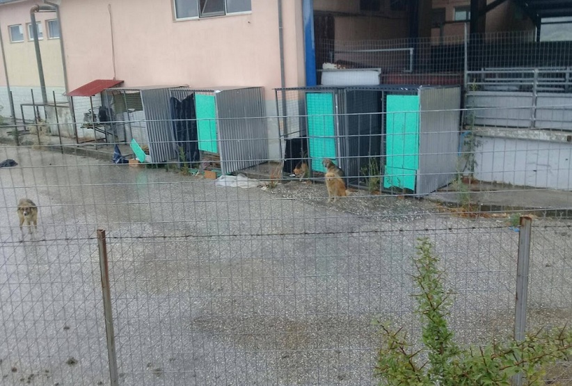 Ένα μικρό φωτορεπορτάζ από τα Σφαγεία Καλαμπάκας