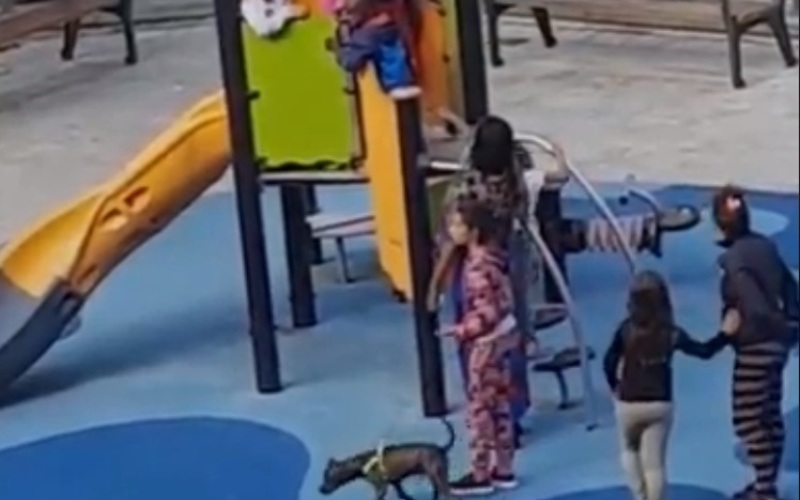 Ένα παιδάκι βιώνει την απόρριψη σε μια παιδική χαρά από παιδιά και… γονείς
