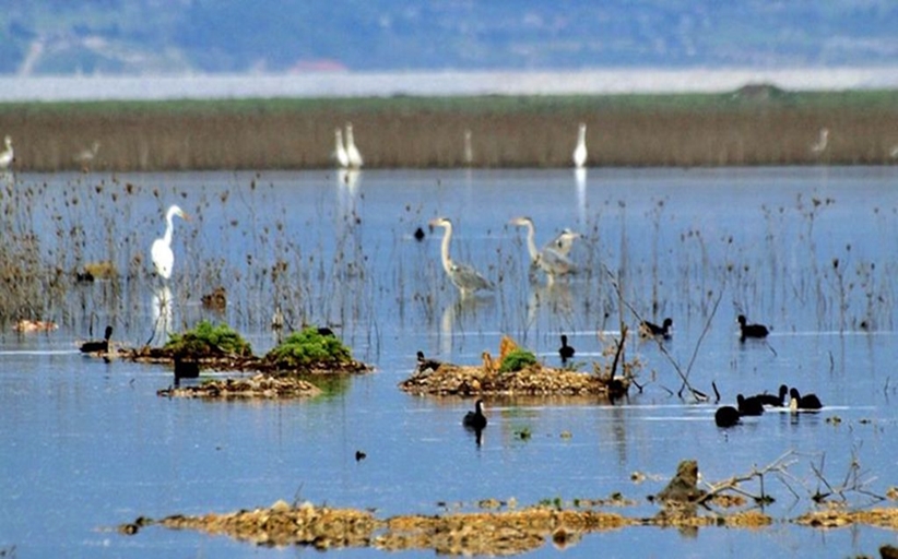 Βελτίωση της αποτελεσματικότητας στη διατήρηση των υγροτοπικών οικοσυστημάτων