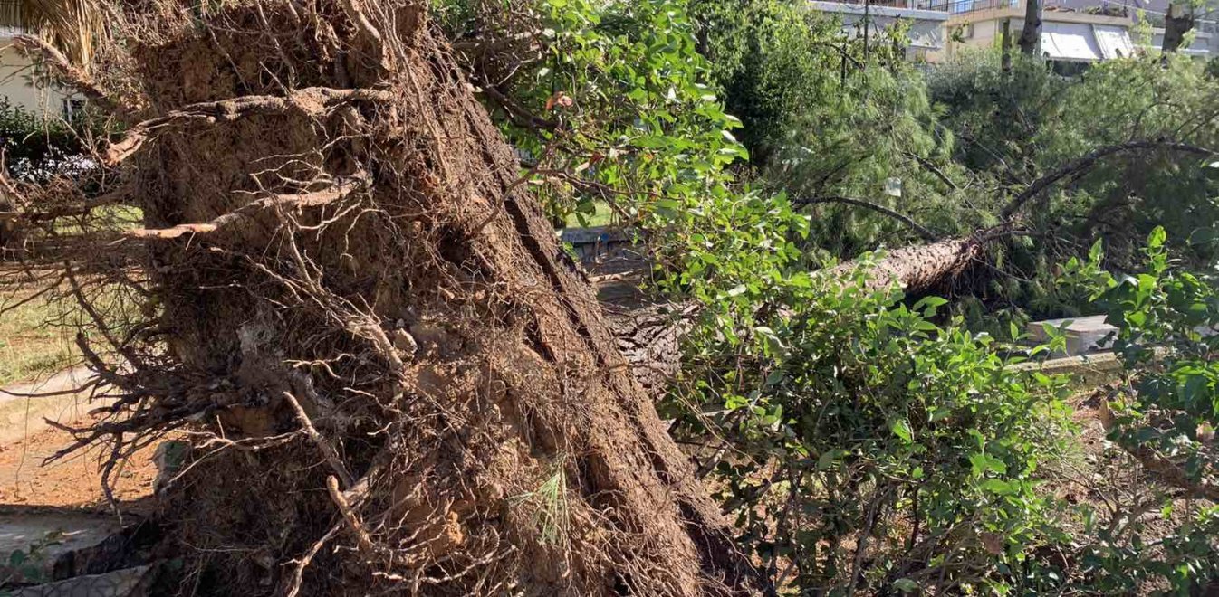 Κακοκαιρία: Απίστευτες εικόνες - Ανεμοστρόβιλος σάρωσε το Νέο Ηράκλειο