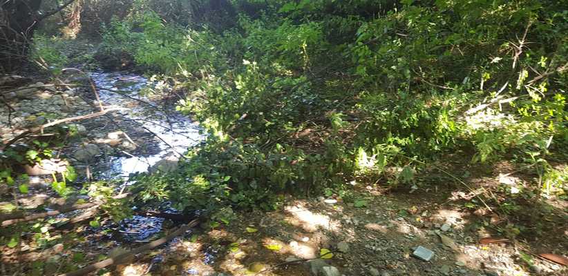 Ευχαριστηριο του Προέδρου της ΤΚ Καστρακίου Γ. Γκόγκου προς τη δημ. Αρχή