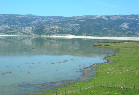 Παραχώρηση χρήσης αγροτεμαχίων στις εκτάσεις της πρώην λίμνης Κάρλας, με χαμηλό τίμημα