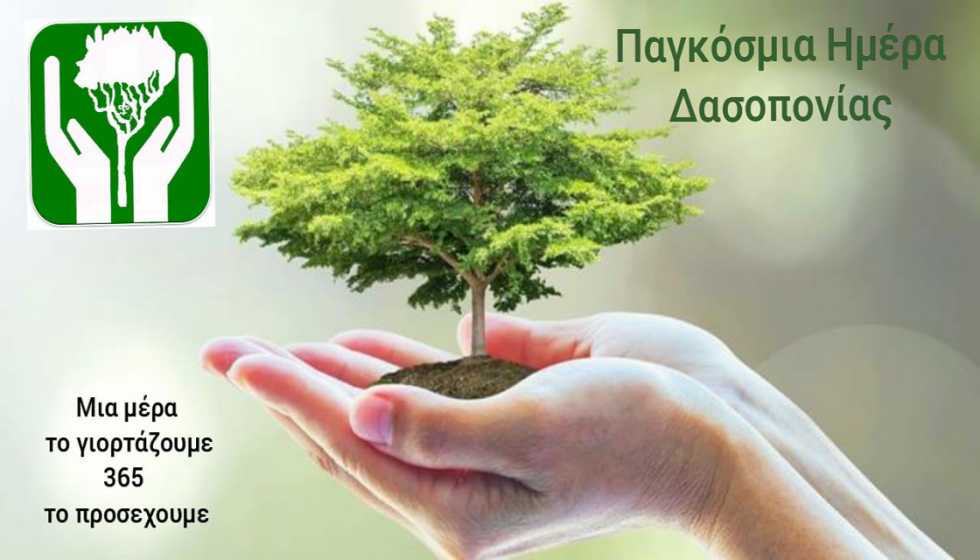  Μήνυμα του Δημάρχου Μετεώρων για την Παγκόσμια Ημέρα Δασών-Δασοπονίας