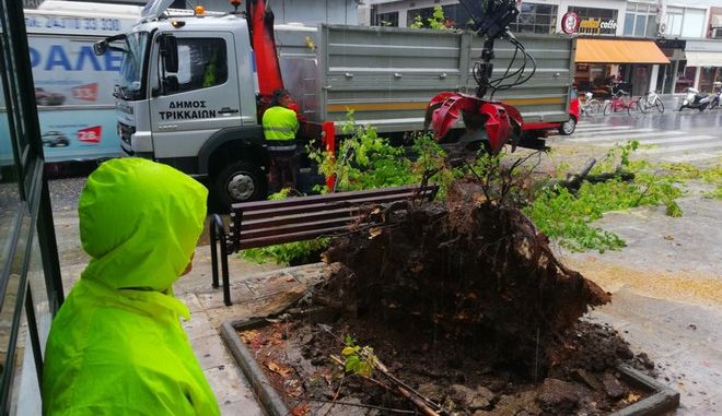 Κλάδεμα δέντρων: Και σε ιδιωτικούς χώρους η ευθύνη του Δήμου