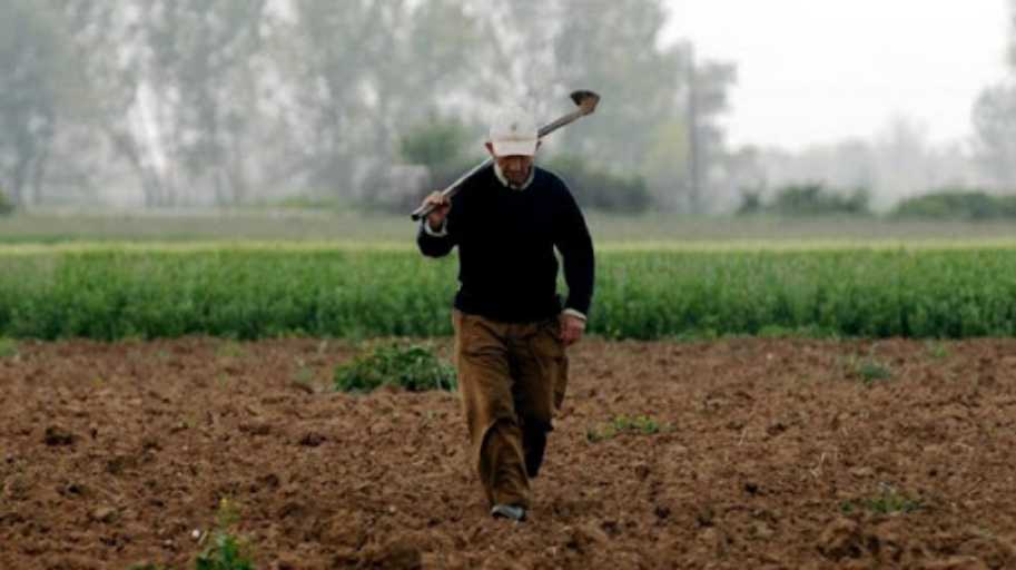 ΚΚΕ: Ζημιές στις καλλιέργειες από τους συνεχιζόμενους παγετούς στον Ν. Τρικάλων