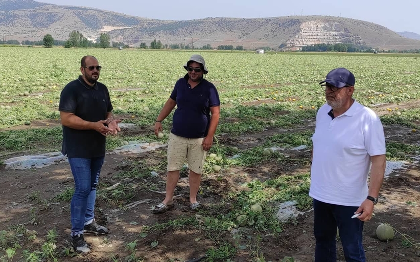 Ολική καταστροφή σε καλλιέργειες από σφοδρή χαλαζόπτωση του Σαββάτου 20/6