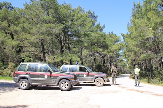 Πρόγραμμα πρόσληψης ανέργων ΟΑΕΔ για τις Δασικές Υπηρεσίες...