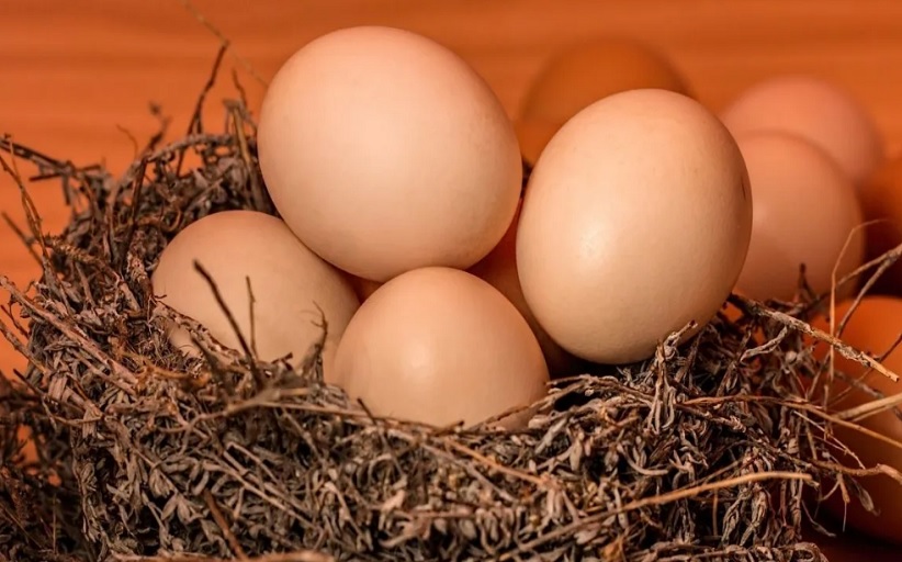 Αυγά: Πλούσια σε θρεπτικά συστατικά