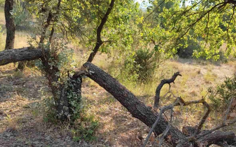 Τι συμβαίνει στα μονοπάτια των Μετεώρων;