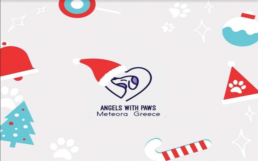 Πρόγραμμα καταστημάτων για τη φιλοξενία κουμπαρά για τα αδεσποτάκια της πόλης μας (1η φιλοξενία, 24/12/21-5/1/22)