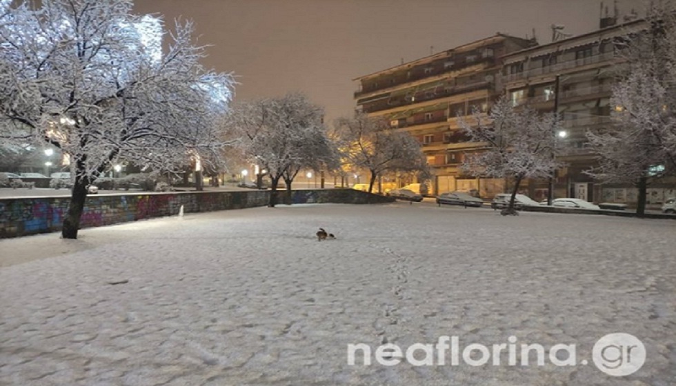 «Διομήδης»: Ισχυρές βροχές και χιόνια σε όλη τη χώρα - Πού εντοπίζονται προβλήματα