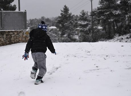 Μέχρι τις 11:30 σήμερα τα σχολεία του Δήμου Μετεώρων που παρέμειναν ανοιχτά