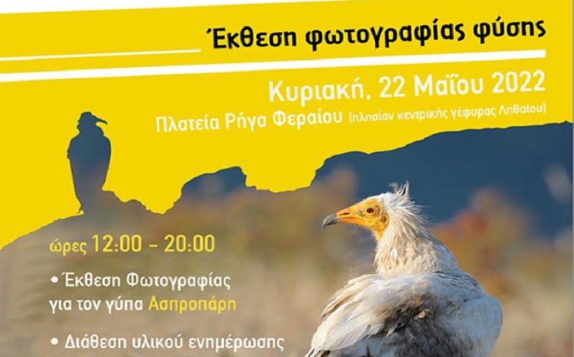 Υπαίθρια Έκθεση Φωτογραφίας στα Τρίκαλα για τον γύπα Ασπροπάρη
