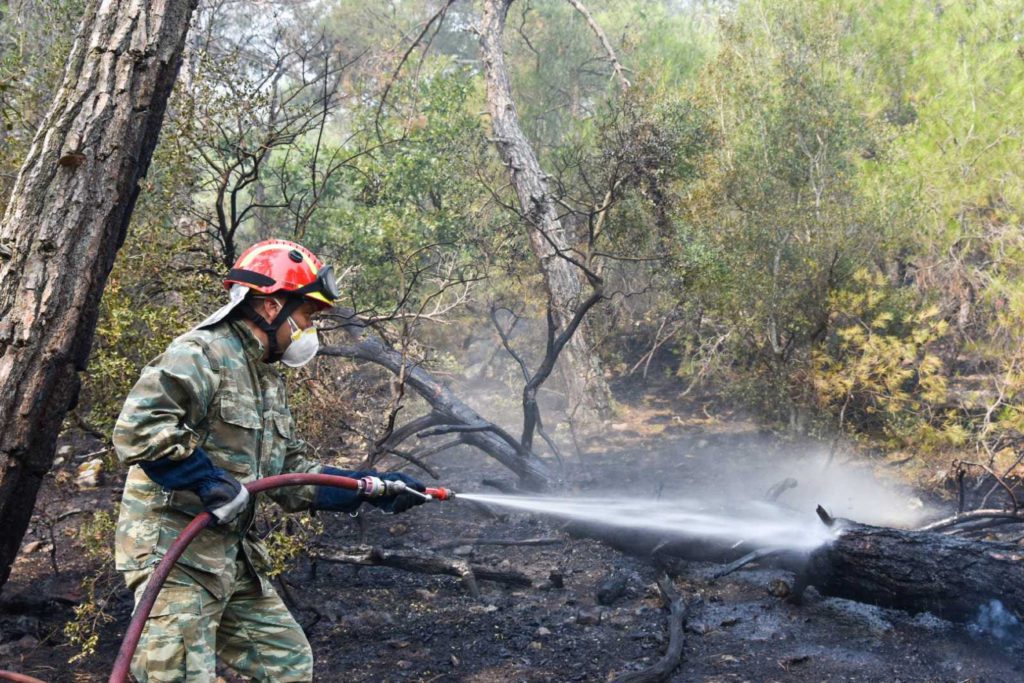 Μαίνεται η πυρκαγιά στο Εθνικό Πάρκο Δαδιάς – Βρέχει στον Έβρο