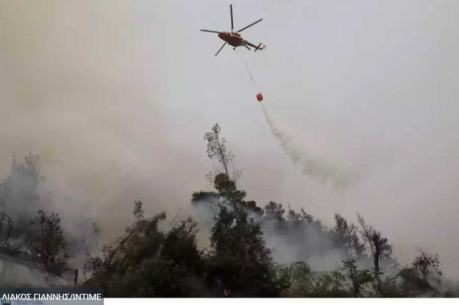 Φωτιά στην Ηλεία: Ενισχύθηκαν οι πυροσβεστικές δυνάμεις