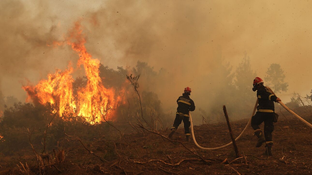 ΠΕ ΤΡΙΚΑΛΩΝ: «Αντιμετώπιση των κινδύνων από τις δασικές πυρκαγιές λόγω πολύ υψηλής επικινδυνότητας και των ισχυρών ανέμων».
