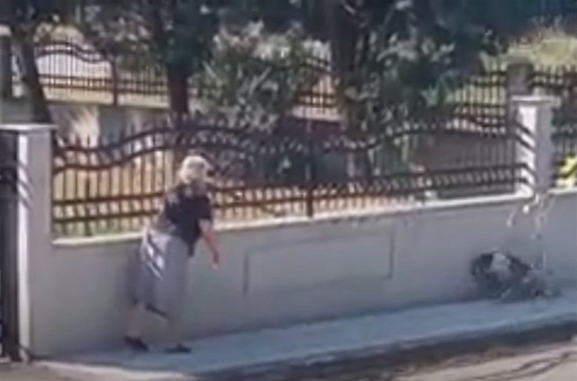 Ηλικιωμένη να πετάει μπαστούνι σε σκυλί (video)