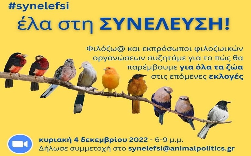 Εργαστήριο 3D σάρωσης και εκτύπωσης με το 2ο Γυμνάσιο Καλαμπάκας