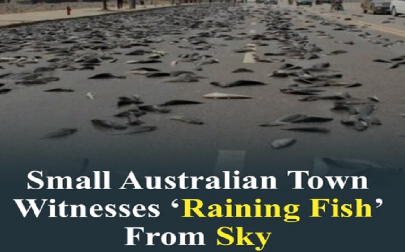 Έβρεξε... ψάρια στην Αυστραλία - Το σπάνιο καιρικό φαινόμενο στην έρημο