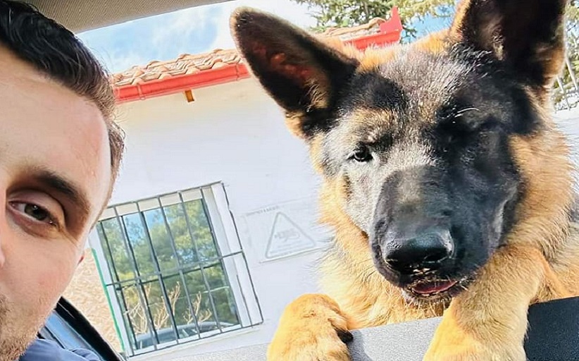 Ο Λ. Αβραμόπουλος για την Παγκόσμια Ημέρα Αδέσποτων Ζώων