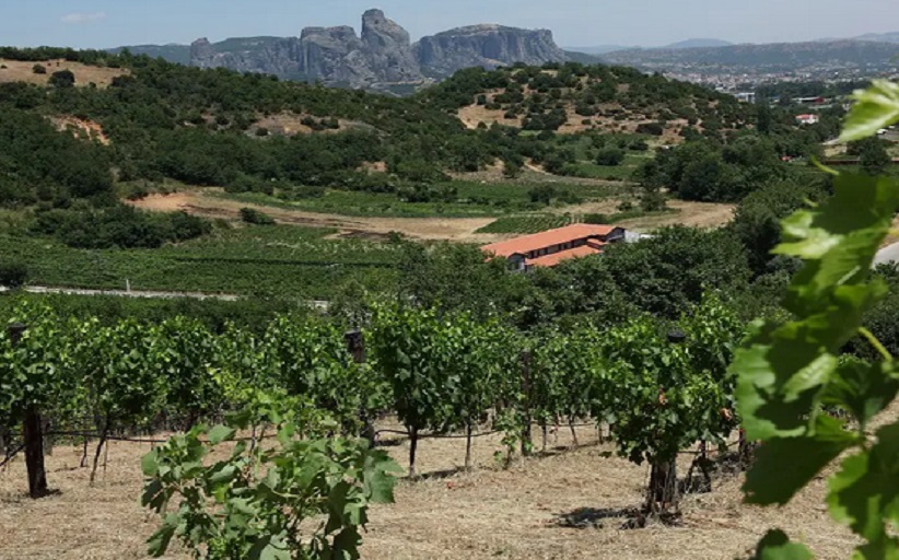 Ανοιχτή επιστολή οινοποιείου Κωνσταντίνου Λούδα