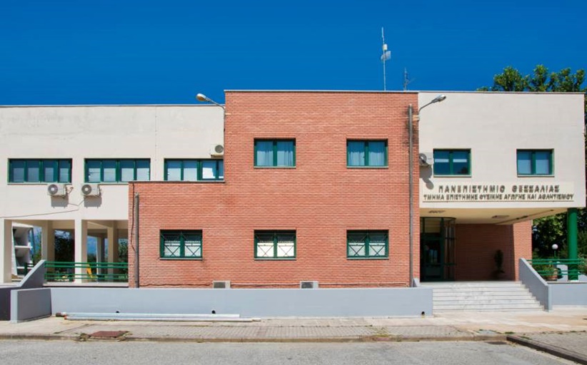 Τουρνουά Ποδοσφαίρου από το ΤΕΦΑΑ Π. Θ.