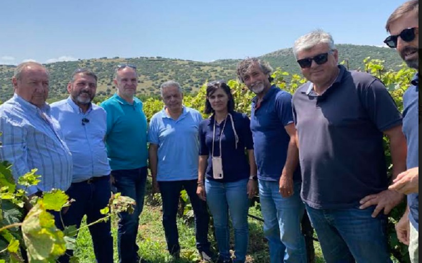 Σε επιφυλακή η Περιφέρεια Θεσσαλίας για περονόσπορο και ακαρπία  σε καλλιέργειες