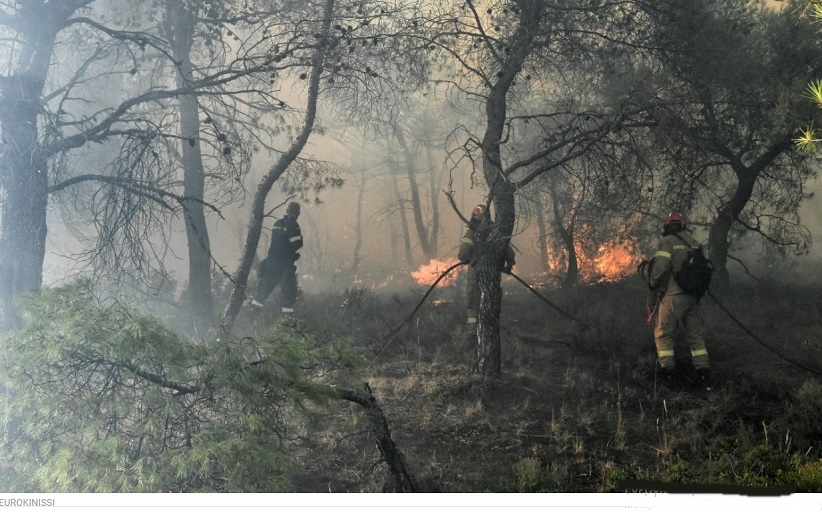 Δήλωση υποψηφιότητας της Μαρίας Χουλιάρα - Χρυσικού και ανακοίνωση στήριξης στον Λευτέρη Αβραμόπουλο