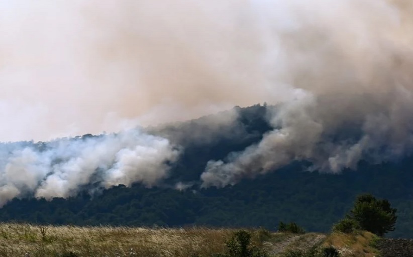 Ασύλληπτη τραγωδία στο δάσος της Δαδιάς: 26 νεκροί μετανάστες - Βρέθηκαν απανθρακωμένοι