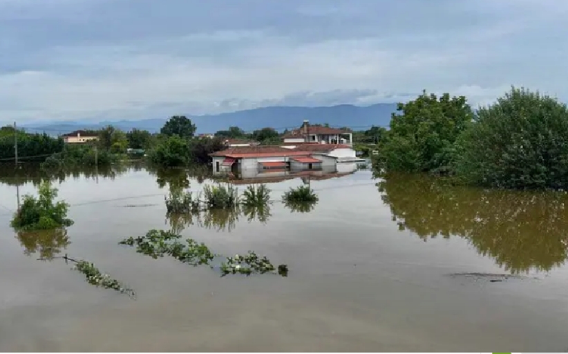 Αγροτικές και κτηνοτροφικές εκμεταλλεύσεις που έχουν πληγεί από τις πλημμύρες Σεπτεμβρίου 2023