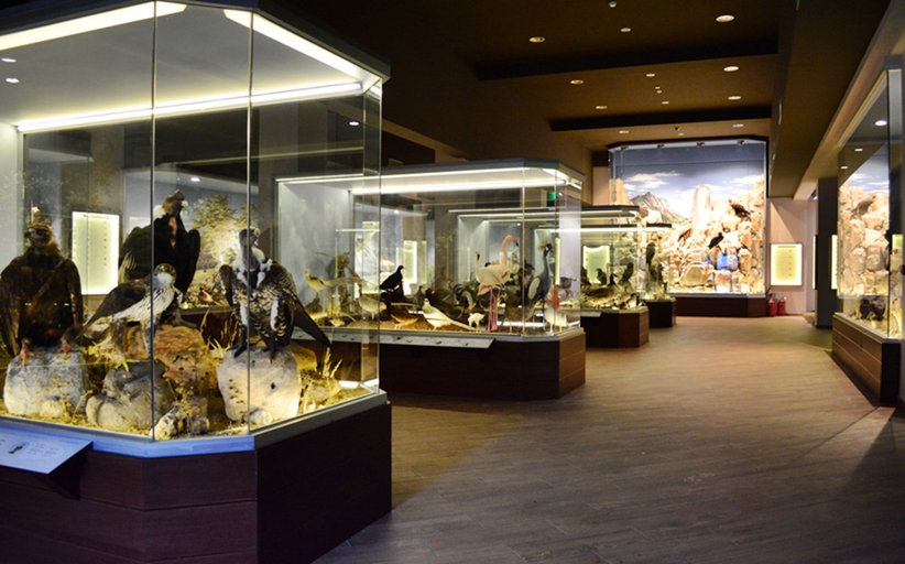 Προσλήψεις στο Μουσείο Φυσικής Ιστορίας Μετεώρων και Μουσείο Μανιταριών