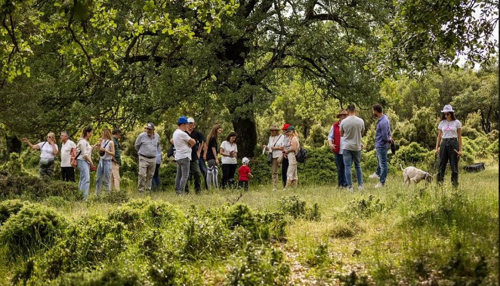 Στις 3 Μαρτίου ξεκινά το κυνήγι Τρούφας στα Μετέωρα