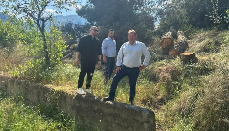 ΔΗΜΟΣ ΜΕΤΕΩΡΩΝ: Κοπή επικίνδυνων δέντρων πέριξ του Κέντρου Υγείας