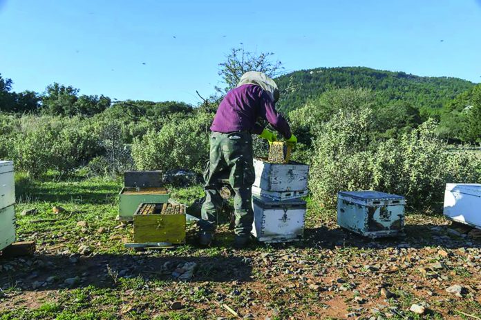 Υποβολή αιτήσεων από τους Μελισσοκόμους