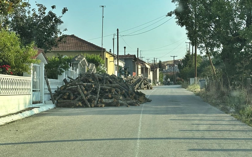 Λύθηκε νωρίς το θέμα με τα ξύλα σε Ασπροκκλησιά - Κερασούλα και Ψήλωμα