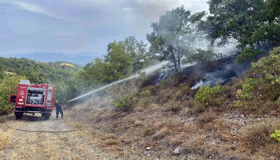 Πυρκαγιά ξέσπασε στην Αγναντιά - Τέθηκε υπό έλεγχο από την Πυροσβεστική Υπηρεσία Καλαμπάκας και εναέρια μέσα