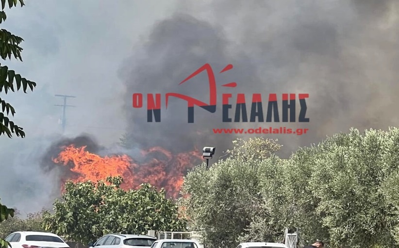 Φωτιά τώρα στο Λιτόχωρο Πιερίας – Ήχησε το 112