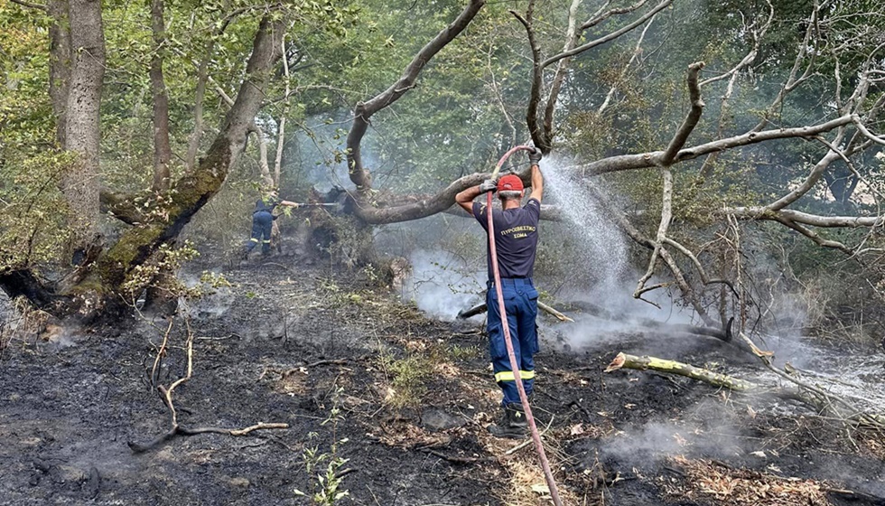 Από κεραυνό η φωτιά που ξέσπασε στην Ασπροκκλησιά του Δήμου Μετεώρων...