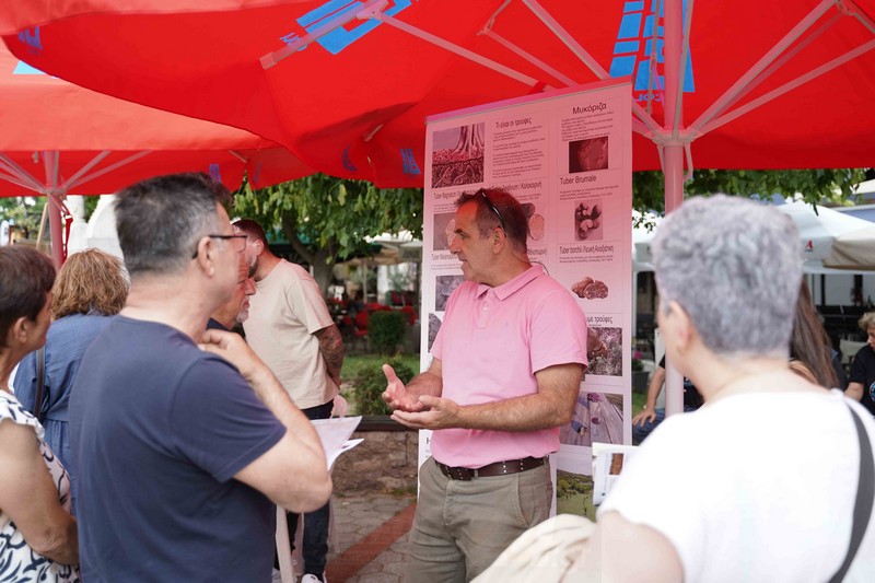 2η Πανελληνια Γιορτή Τρούφας: Ολα για την τρούφα σε 4 σεμινάρια