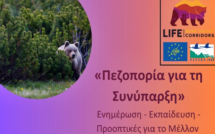 Το Ευρωπαϊκό πρόγραμμα LIFE Bear-Smart Corridors συνεχίζει να προάγει τη αρμονική συνύπαρξη ανθρώπου και καφέ αρκούδας