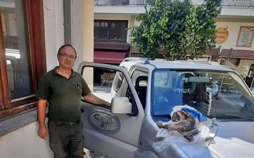 Ομοσπονδιακός Θηροφύλακας εντόπισε άτομο να ασκεί παράνομη Θήρα λαγού