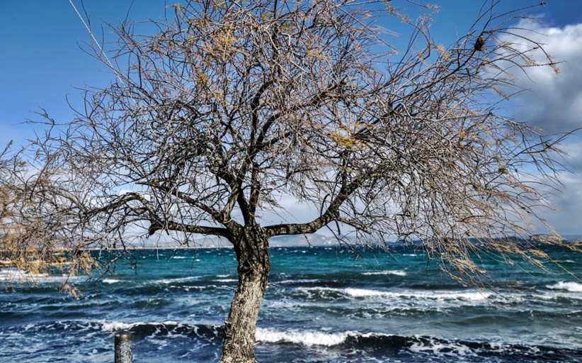Έρχεται Χειμώνας: Ο καιρός «αγριεύει» με πολικές αέριες μάζες από την Ουκρανία