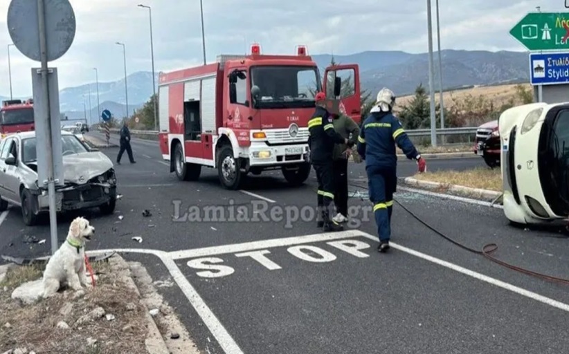 Λαμία:Νεκρός 54χρονος σε τροχαίο – Το σκυλάκι του διασώθηκε και περίμενε τον ιδιοκτήτη του δίπλα στο τρακάρισμα