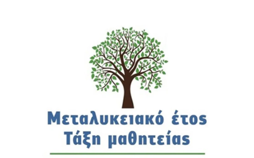 «Μεταλυκειακό Έτος – Τάξη Μαθητείας» αποφοίτων ΕΠΑ.Λ.  Θ ́ Φάση υλοποίησης 2024 – 2025»