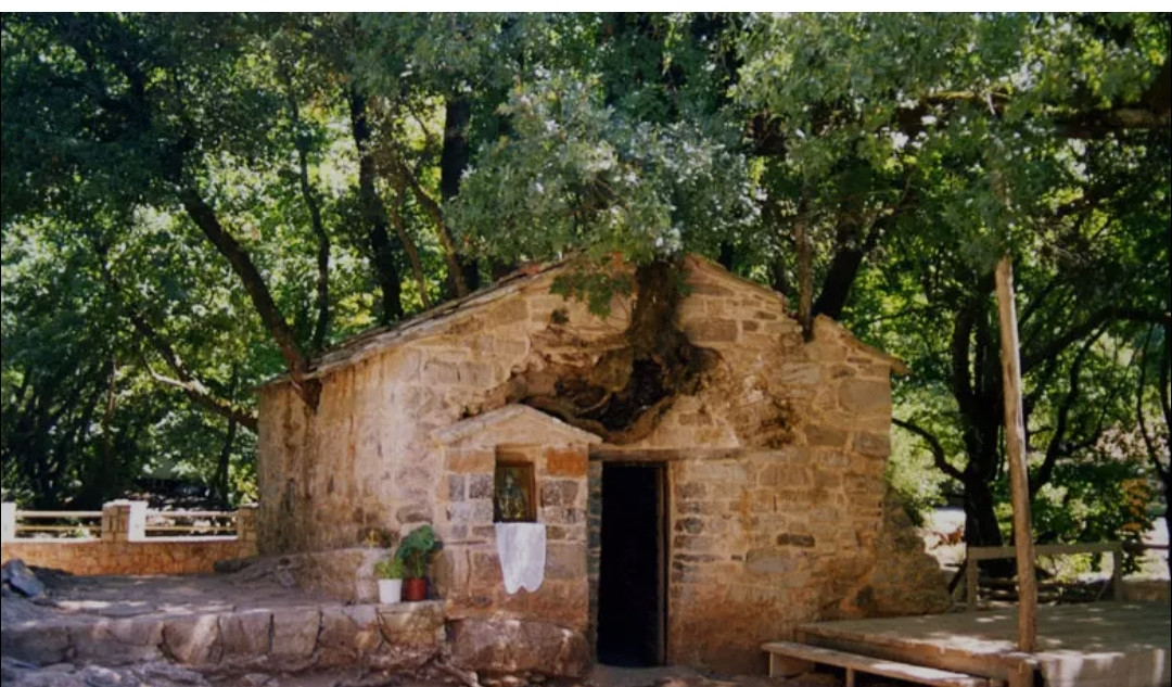 ΚΑΠΗ και Μορφωτικός Συλλόγου Απανταχού Κρυοβρυσιωτών «Ο Άγιος Μηνάς» για τη διήμερη εκδρομή στην Αγία Θεοδώρα 31/5 & 1/6/2025