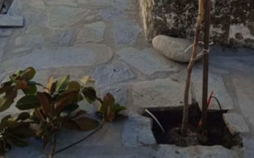 Θύμιος Καραγιάννης: 