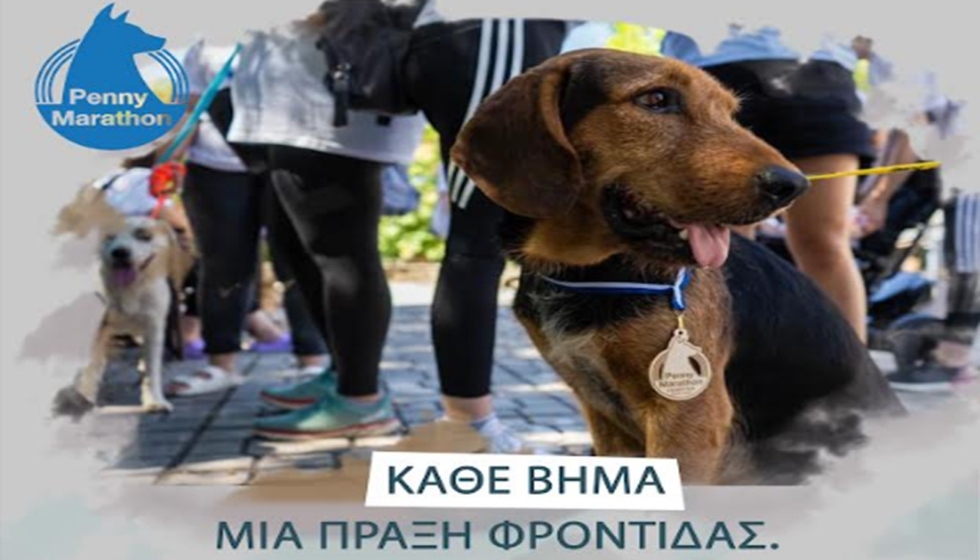 Ο Δήμος Μετεώρων συμμετέχει στο Penny Marathon – Κυριακή 13 Ιουλίου  2025...