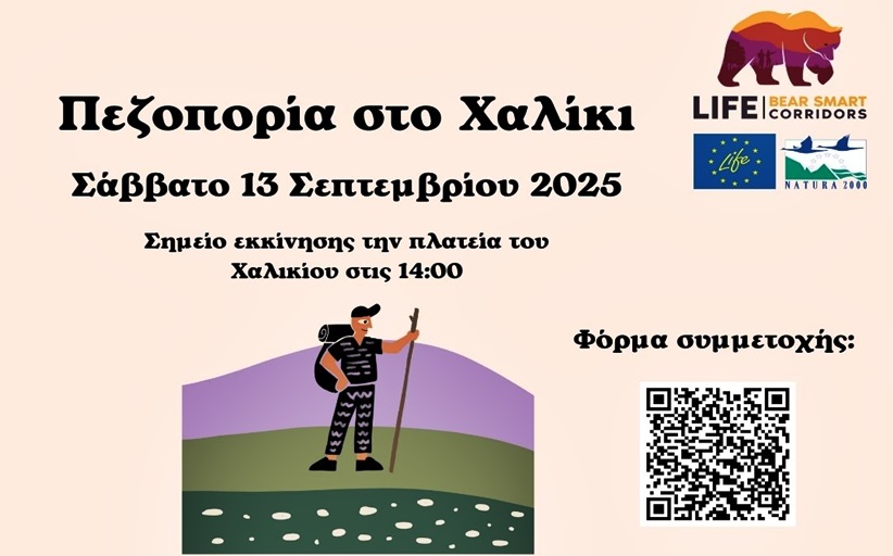 Εκδήλωση για τη συνύπαρξη ανθρώπου και καφέ αρκούδας στο Χαλίκι Ασπροποτάμου
