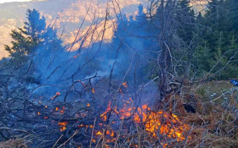 Υπό έλεγχο η φωτιά κοντά στη Χρυσομηλιά – Άμεση κινητοποίηση και συντονισμένη δράση της Π.Υ.