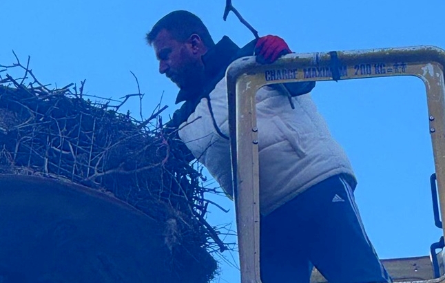 Τα χωριά του κάμπου του Δήμου Μετεώρων υποδέχονται την άνοιξη – Εθελοντική δράση για τη φωλιά των πελαργών στη Σαρακίνα